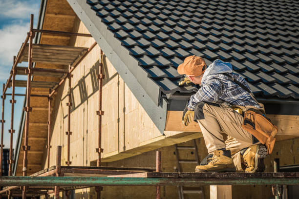 Best Asphalt Shingles Roofing  in Wadsworth, IL